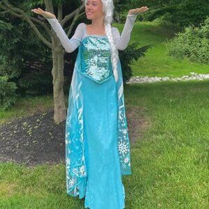 Elsa Frozen Cosplay Costume